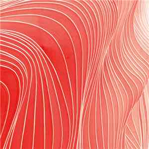 Various - shtum 010