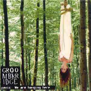 Groombridge - Panic: We Are Hanging Here...