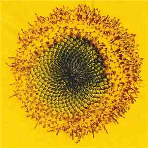 Stefan Jaworzyn - Principles Of Inertia