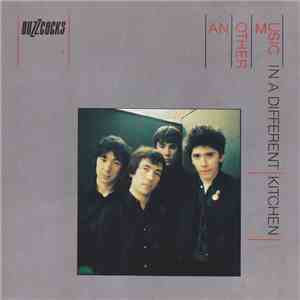 Buzzcocks - Another Music In A Different Kitchen / Love Bites