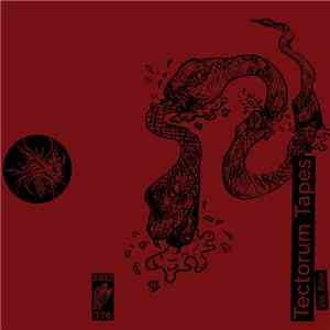 Various - Tectorum Tapes - Vol. Four