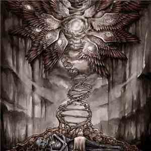 Palace Of Worms - The Ladder