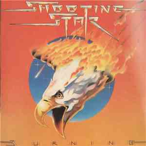 Shooting Star  - Burning