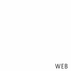 Bill Laswell and Terre Thaemlitz - Web