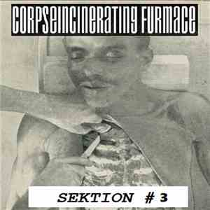 Corpseincinerating Furmace - Sektion #3