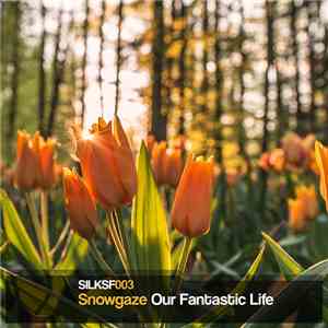 Snowgaze - Our Fantastic Life
