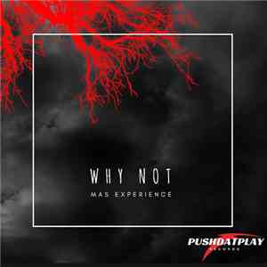 Why Not. - Mas Experience