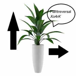 XoArK - Plantreversal