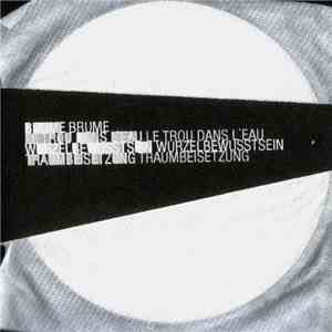 Brume / Wurzelbewusstsein - Le Trou Dans L'Eau / Traumbeisetzung