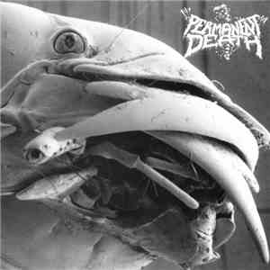 Permanent Death / Pissdeads - Permanent Death / Pissdeads
