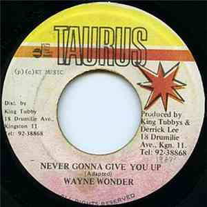 Wayne Wonder - Never Gonna Give You Up