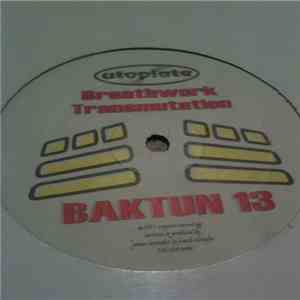 Baktun 13, Dose the alien - Breathwork Transmutation