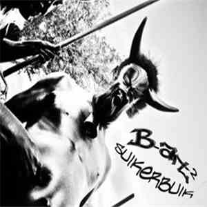 B-Art2 - Suikerbuik