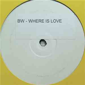 Ben Watt - Lone Cat (Holding On)