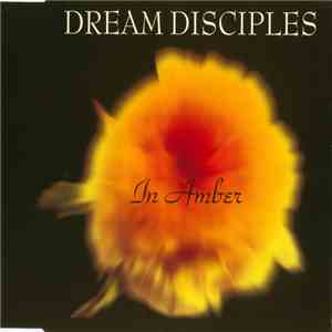 Dream Disciples - In Amber