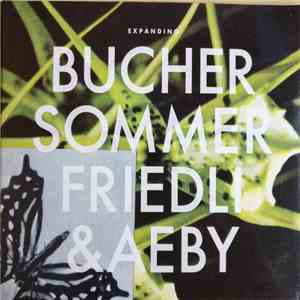 BucherSommerFriedli & Aeby - Expanding