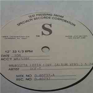 Ice-T - Gotta Lotta Love