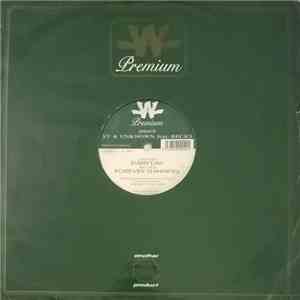 Sy & Unknown Feat. Becks - Every Day / Forever Shining