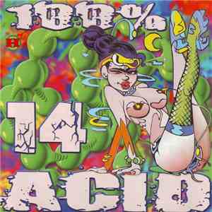 Various - 100% Acid Vol.14