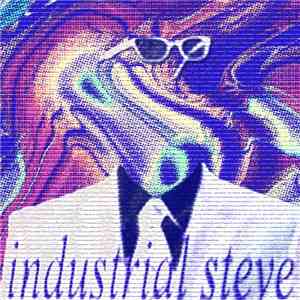 Industrial Steve - Hi, I'm Steve