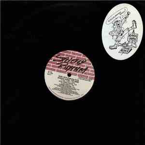 Rare Arts Featuring Flex - Boriqua Posse - The Remix