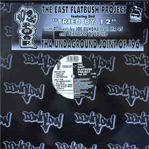 The East Flatbush Project - Tried By 12
