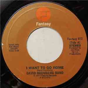 David Bromberg Band - I Want To Go Home