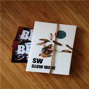 SW - SLOW WAVE