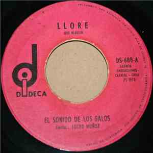 El Sonido De Los Galos - Lloré