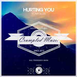 Ronfoller - Hurting You