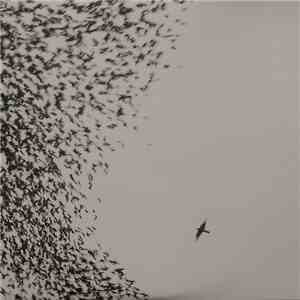 Wilco - Sky Blue Sky