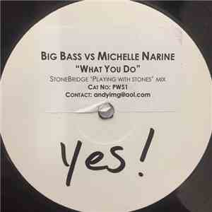 Big Bass vs Michelle Narine - What You Do