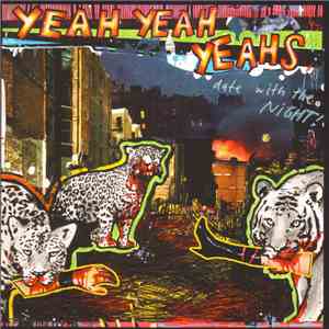 Yeah Yeah Yeahs - Date With The Night!