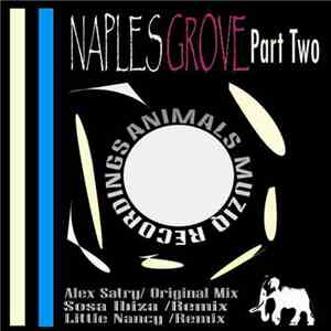 Alex Satry - Naples Groove Part Two