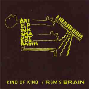 Ariel Pink's Haunted Graffiti - Kind Of Kind / RSM's Brain