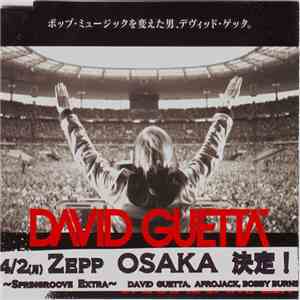 David Guetta - Special Sampler 2012