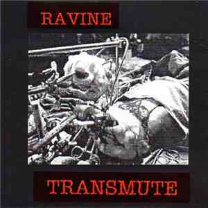 Ravine  - Transmute