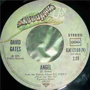 David Gates - Angel