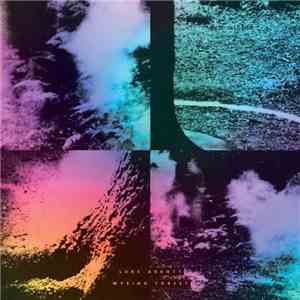 Luke Abbott - Wysing Forest
