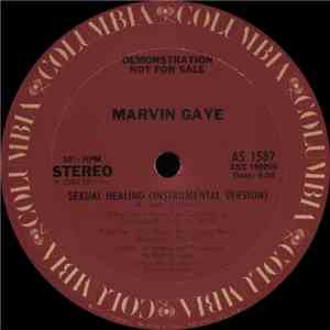 Marvin Gaye - Sexual Healing (Instrumental Version)
