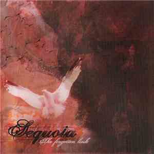 Sequoia  - The Forgotten Link