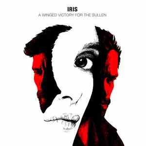 A Winged Victory For The Sullen - Iris