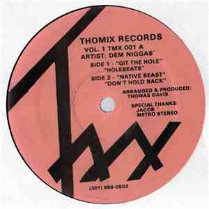 Dem Niggas - Thomix Records Vol. 1