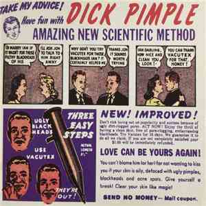 Dick Pimple - Dick Pimple Presents Music From Turtle Island