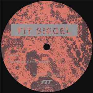 FIT Siegel - Cocomo