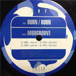 Moogroove - Burn / Born