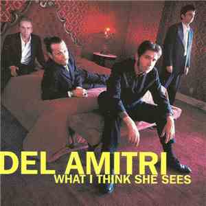 Del Amitri - What I Think She Sees