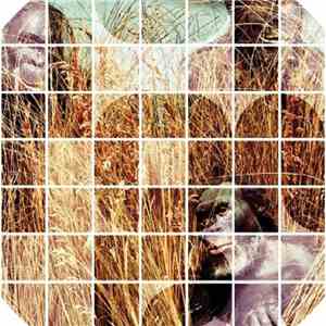 Morton  - Di Sana E Robusta Costituzione