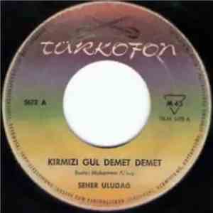 Seher Uludağ - Kırmızı Gül Demet Demet