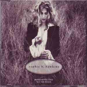 Sophie B. Hawkins - Damn I Wish I Was Your Lover